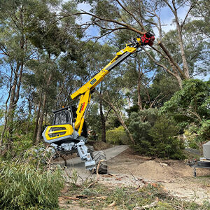Tree Services