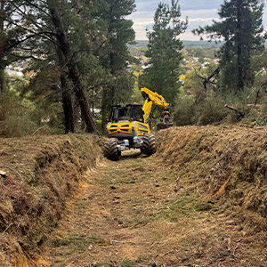 Fire & Flood Mitigation
