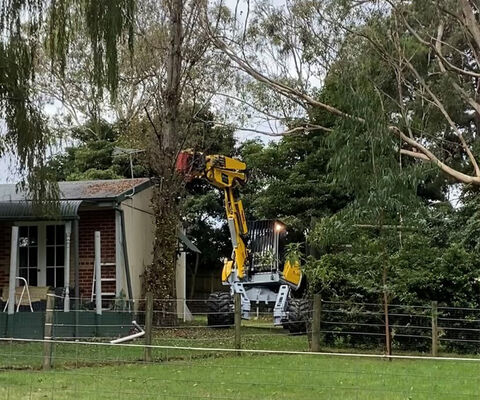 Hazardous Tree Removal Services - Spidermann All Terrain Solutions
