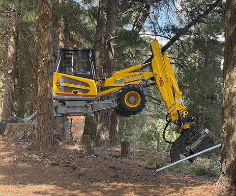 Kirks Pines - Spidermann All Terrain Solutions