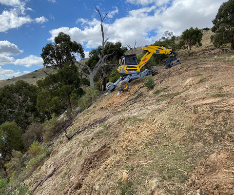 Steep Terrain Mulching - Spidermann All Terrain Solutions